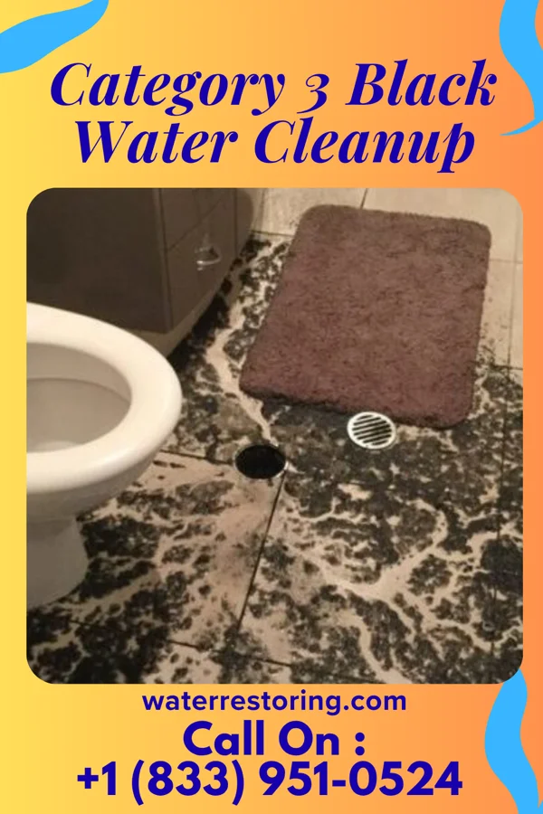 Category 3 Black Water Cleanup in Henry, TN