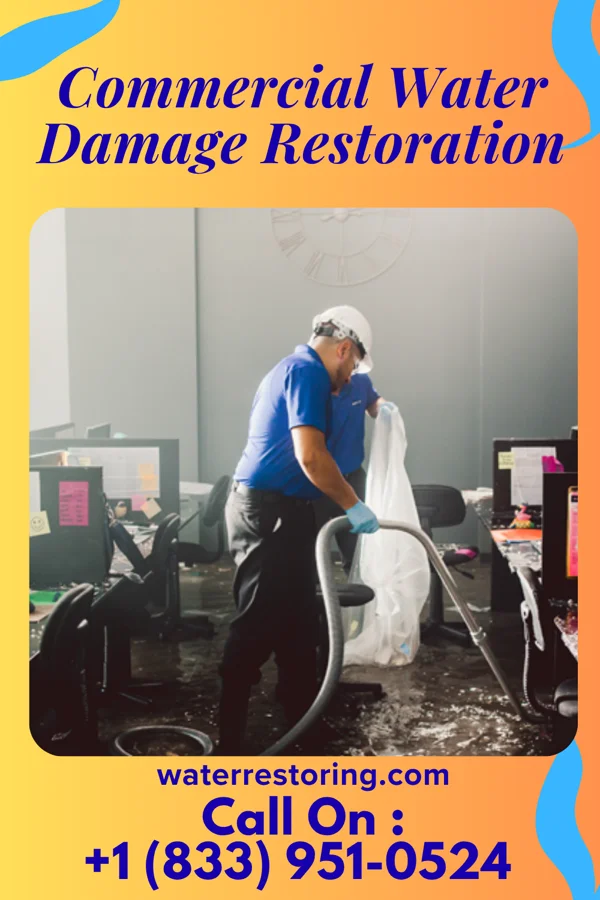 Commercial Water Damage Restoration in Henry, TN