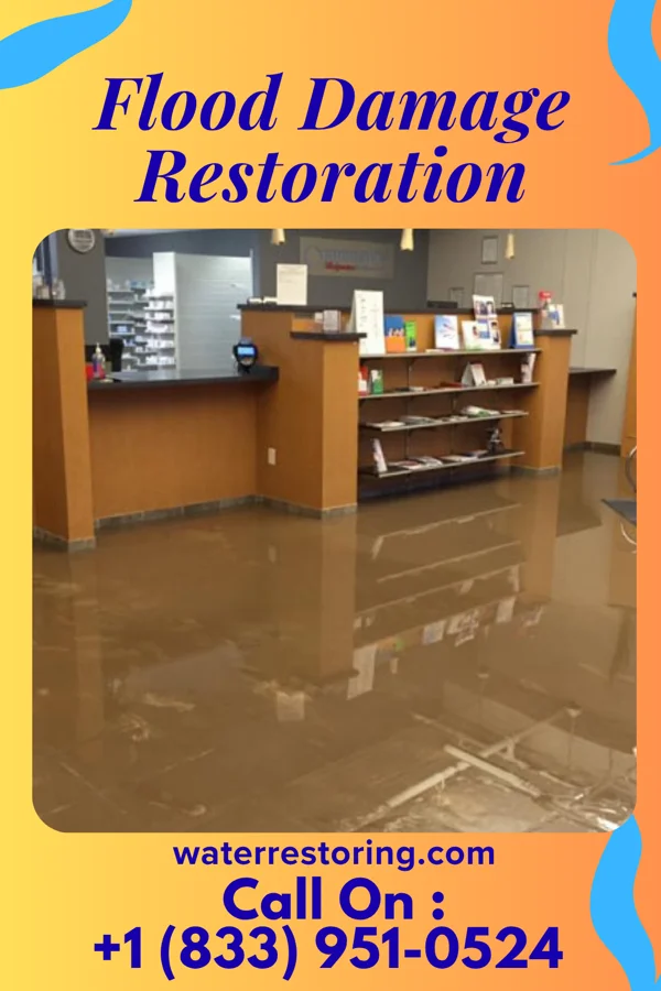 Flood Damage Restoration in Henry, TN